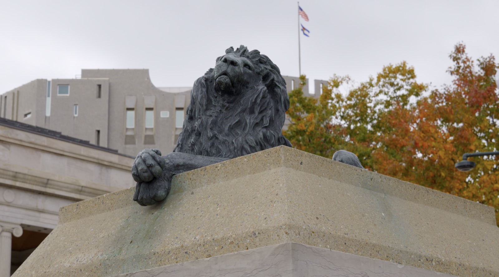 Adam Fonta, Denver car accident lawyer, outside the Denver courthouse | Lionheart Injury Law
