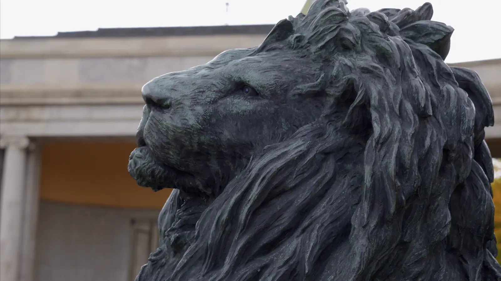 Adam Fonta, Denver negligent security lawyer, outside the Denver courthouse | Lionheart Injury Law